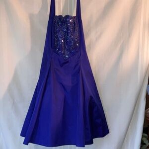 Elegant Blue Sequin Dress